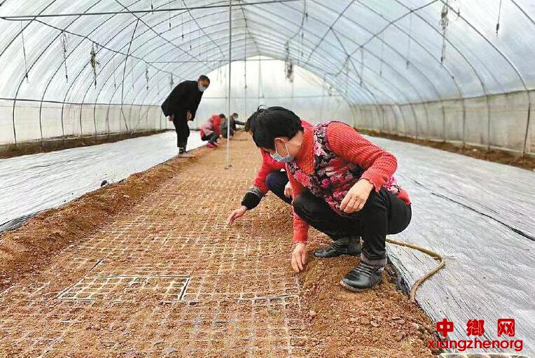 <b>防疫生产两不误 戴着口罩抓春耕</b>