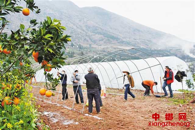 <b>足不出户农资送到家门口</b>