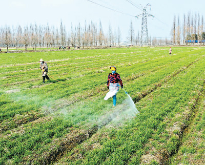 <b>日暖春耕忙</b>