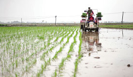 <b>各地农村稳产保供耕作忙</b>