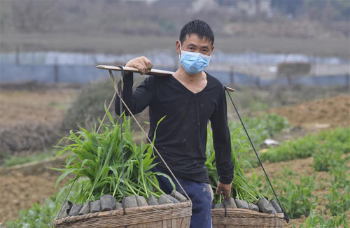<b>成都：抗疫情 战春耕</b>
