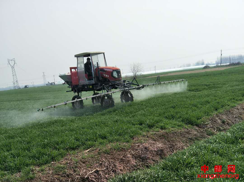 <b>安徽蚌埠：新马桥镇疫情防控抓环境 春耕生产不放松</b>