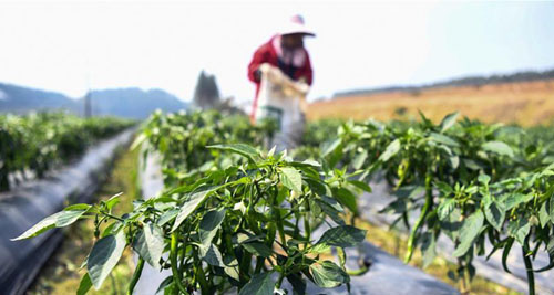 <b>广西钦州：复工复产助力经济发展</b>