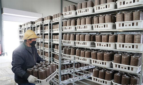 <b>秦巴山区：战疫战贫，两场仗都要打赢</b>