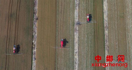 <b>农忙在春天里</b>