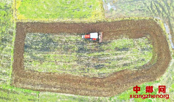 广西桂平：春耕正当时