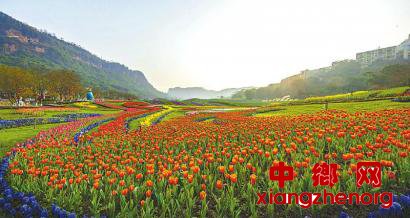 春回大地 花开天府