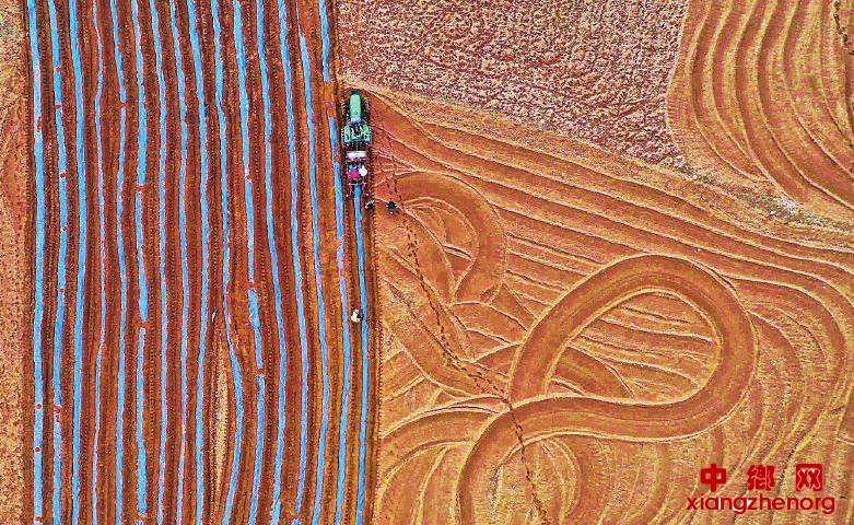 示范园里春耕忙