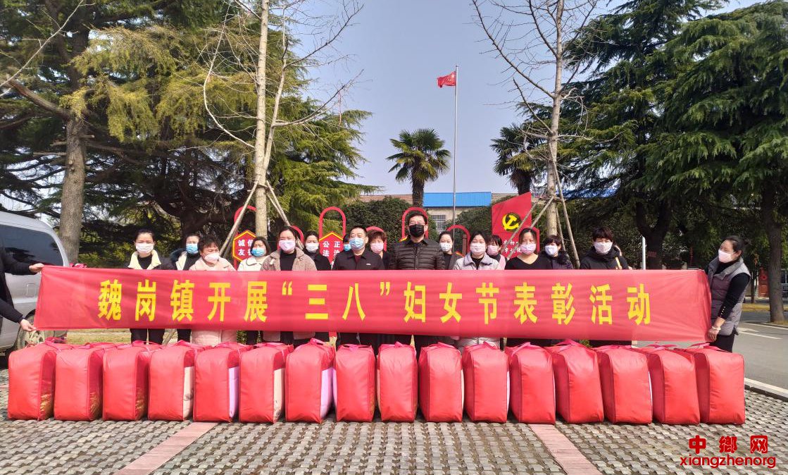 安徽省谯城区魏岗镇开展“三八”妇女节表彰活动