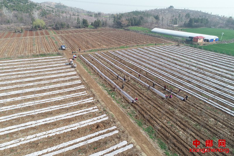 <b>扶贫基地脱贫忙</b>