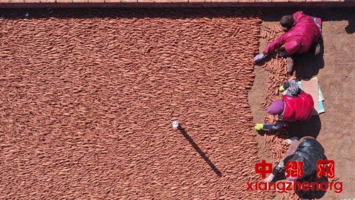 春到冀东农事忙