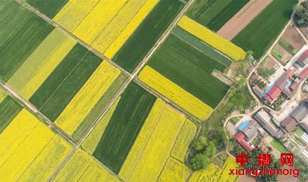 <b>湖北当阳：农业复产正当时</b>