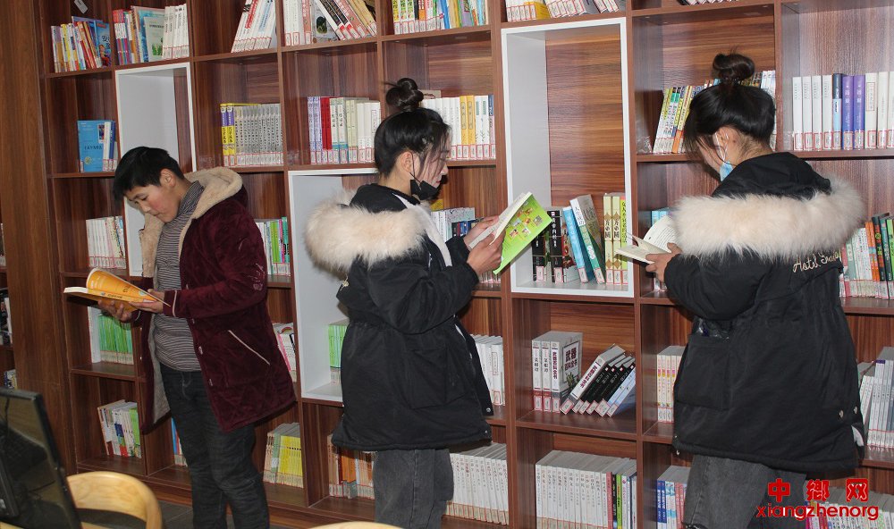 <b>安徽：文化站里读书忙</b>