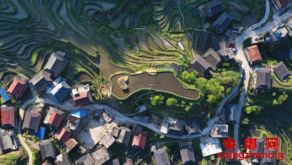 <b>春到苗寨美如画</b>