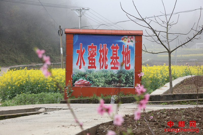 <b>重庆巫山：鸳鸯展翅腾飞</b>