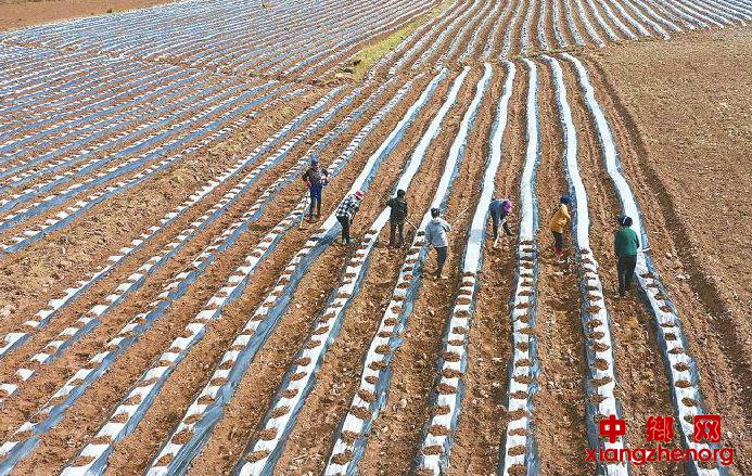 <b>不负春光 凉山深处农耕忙</b>