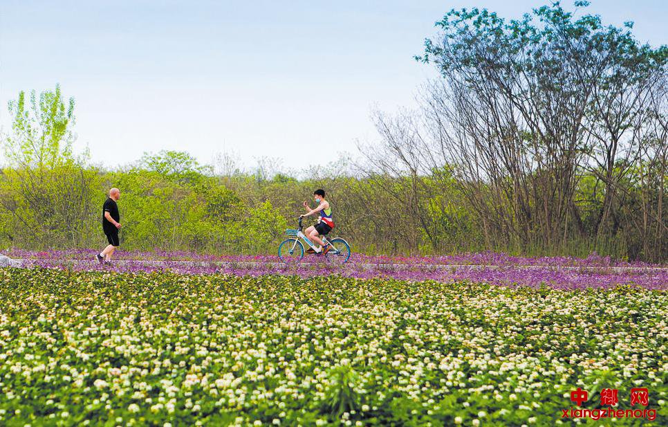 <b>人间最美四月天 绿道唤你赏春光</b>