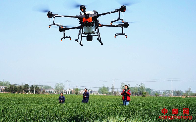 <b>安徽颍东：植保飞防 备受青睐</b>