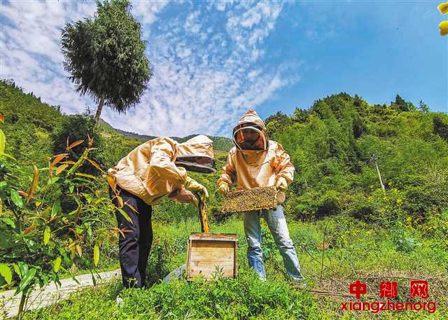 <b>重庆石柱：华溪村大变样 努力奋斗奔小康</b>