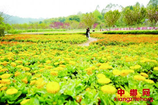 四川广安：银城花海景区满园春色惹人沉醉