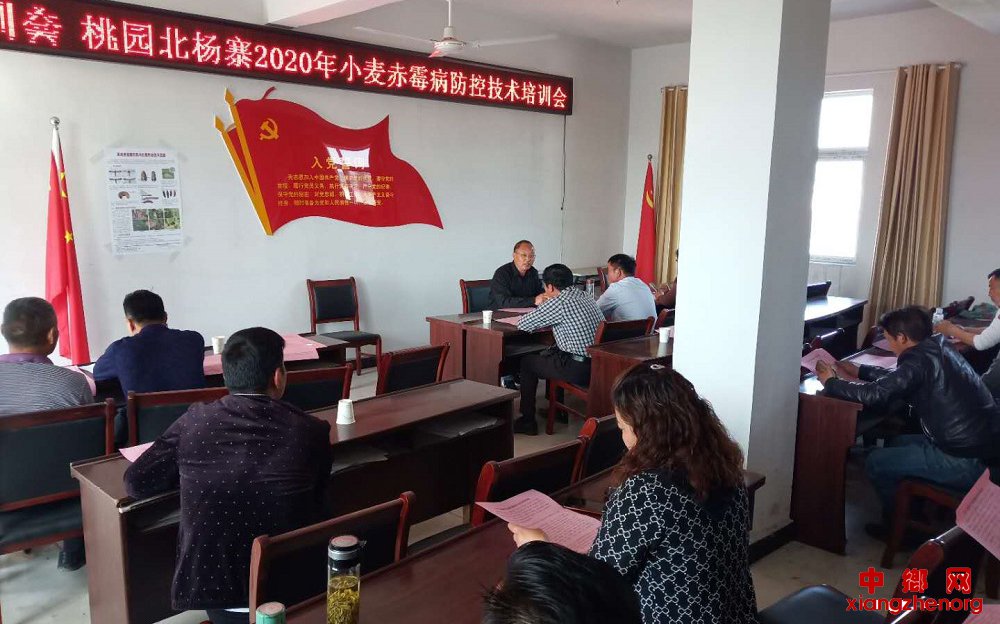 <b>安徽省埇桥区桃园镇：“四举措”精准抓好小麦赤霉病防控</b>