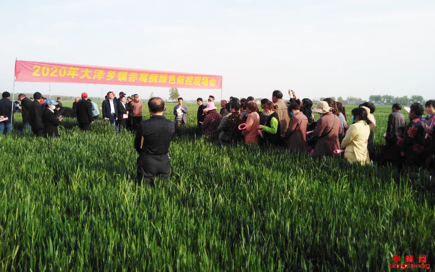 安徽省大泽乡镇在田间地头开展农业科技技能培训防治赤霉病