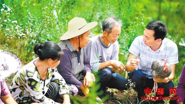 <b>引进一只芦花鸡 带富一方老百姓</b>