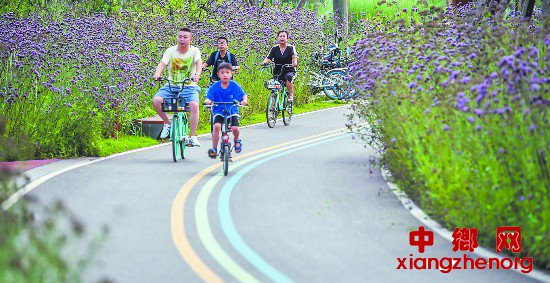 <b>成都今年将打造30个网红“打卡”点</b>