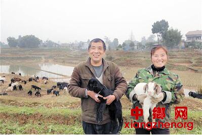 <b>尹雄：小腿残疾却不消沉 养羊带动村民致富</b>