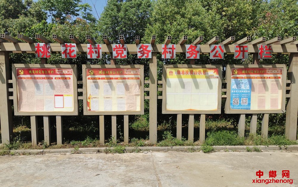 <b>安徽省张山镇：进一步规范村级党务村务公开工作</b>