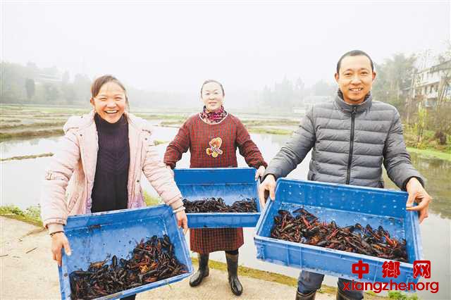 <b>“潼南红”小龙虾为脱贫致富开新路</b>