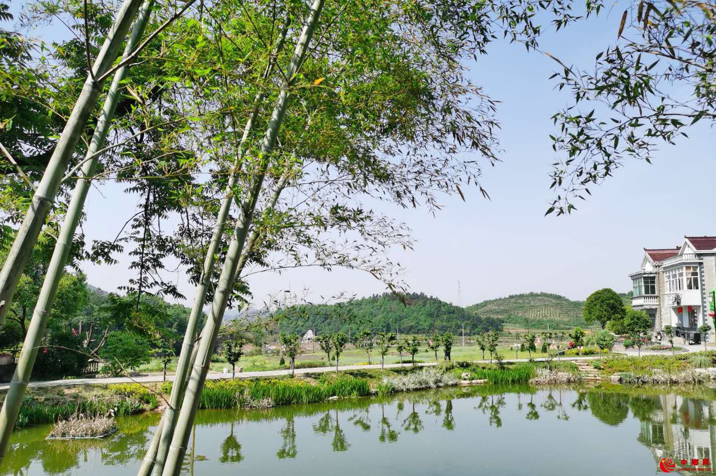 <b>安徽省庐江县罗河镇鲍店中心村：盘活闲置用地奏响乡村振兴曲</b>