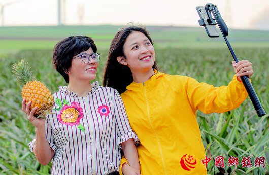 “菠萝姐妹”在“菠萝的海”弄潮追梦
