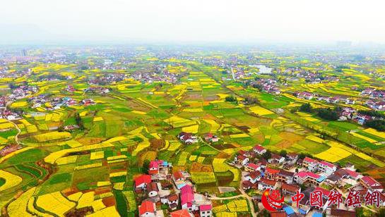 “赏花经济”催中国内地旅游市场加速“回春”