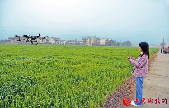 90后“种田CEO”的第八个春耕