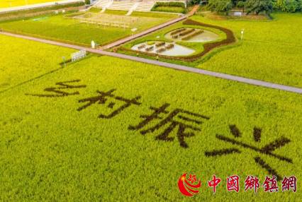 让休闲农业助力乡村振兴“加速跑”