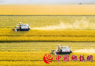 强国必先强农，农强方能国强