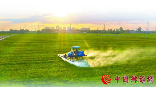 新型职业农民成长记