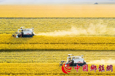 挖掘释放农业高质量发展的动力