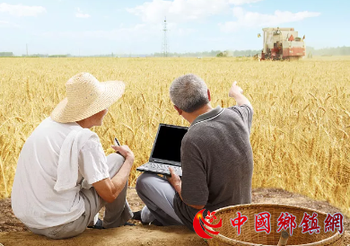 接通农村电商致富“电网”