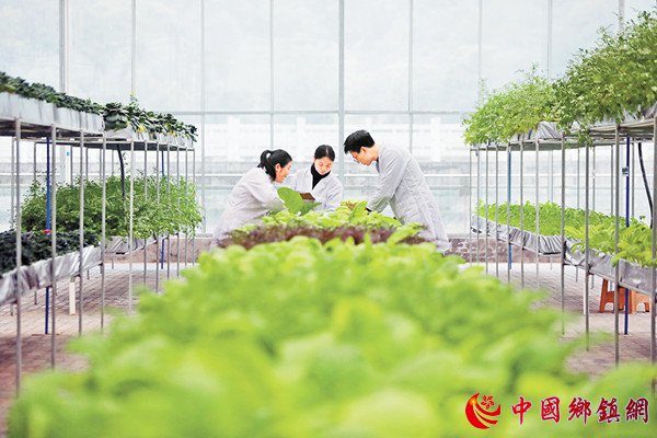 让“国民下饭菜”越吃越香