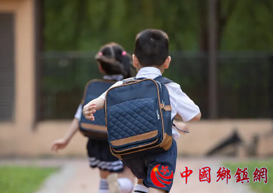 在教育“双减”中做好科学教育加法