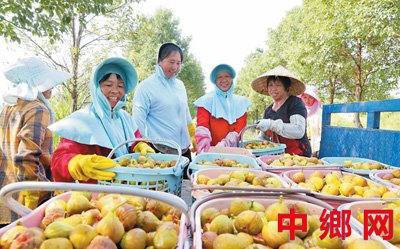 农村流通活 县乡消费旺