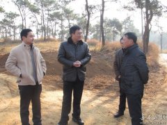 <b>刘玉球到太慈调研美好乡村建设及森林防火工作</b>