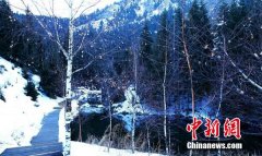 <b>新疆天池冬景美轮美奂呈现写意山水</b>