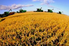 <b>一号文件连续12年聚焦三农 加大惠农政策力度</b>