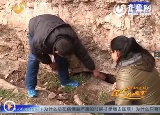 邹城市张庄镇的巡山员老刘在巡逻到凤凰山大佛附近时发现怪鱼。（视频截图）