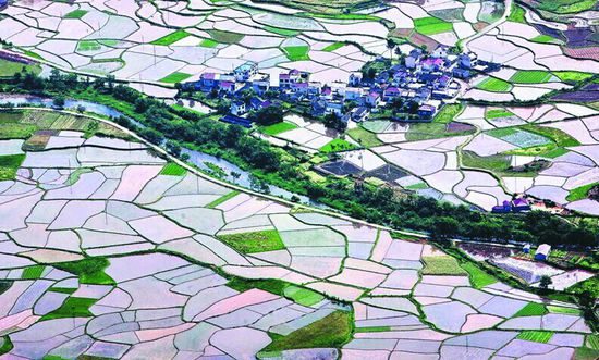 二等奖作品《鸟瞰八都何》