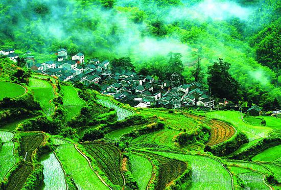 二等奖作品《阳台风光》
