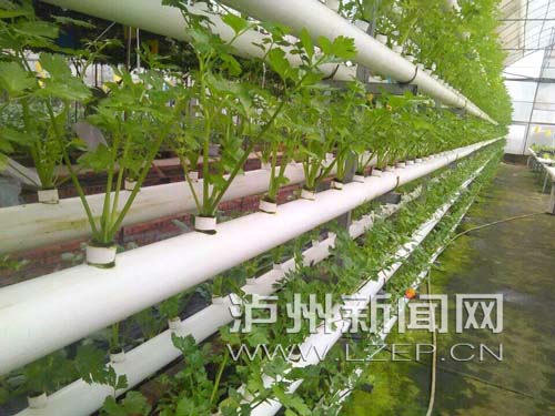 现代化农业基地